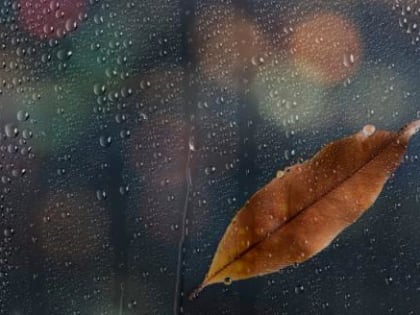 Вологда готовится к перемене погоды: Осень вступает в свои права