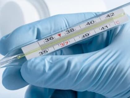 Всплеск ОРВИ прогнозируют врачи после новогодних каникул