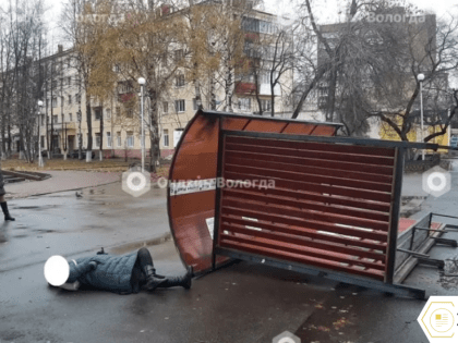 В Вологде от ветра остановка рухнула на женщину