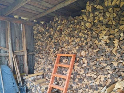 Многодетным семьям увеличены размеры ежегодных компенсаций на приобретение сжиженного газа и дров