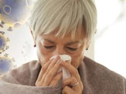 Вологодчина обогнала всю Россию: заболеваемость ротовирусной инфекцией просто кошмарная