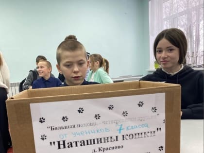 Молодежный актив поселка Семенково #ЛюдиДела организовал сбор помощи кошкам