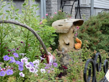 В Вологде принимают заявки на конкурс «Цветущий город»