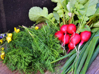 Дела огородные