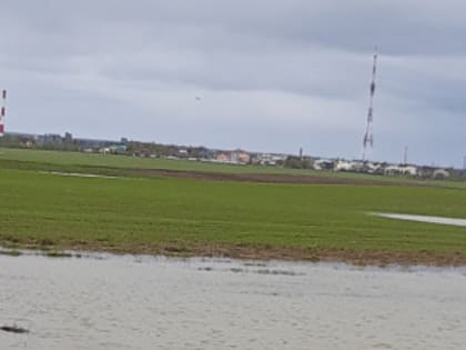 Продолжается кампания по заключению договоров сельскохозяйственного страхования в области растениеводства