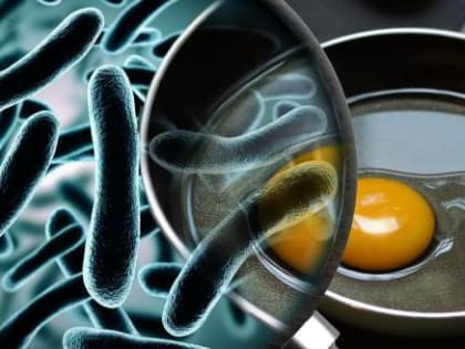 Второй громкий скандал в Вологде с сальмонеллёзом: источник инфекции неизвестен до сих пор