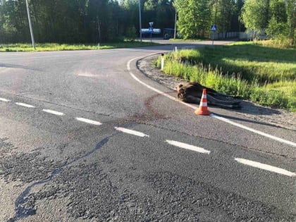 Москвич на крутом внедорожнике устроил смертельное ДТП на трассе «Вологда - Новая Ладога»
