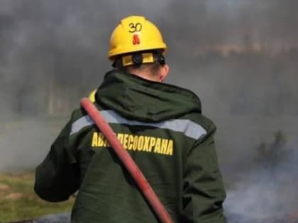 Парашютисты-пожарные дважды тушили лесные пожары на Вологодчине