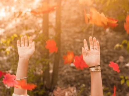 Вологодская область бьет температурные рекорды