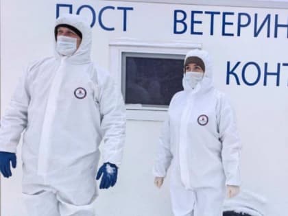 В Вологодской области проведут учения по борьбе с опасными инфекциями животных