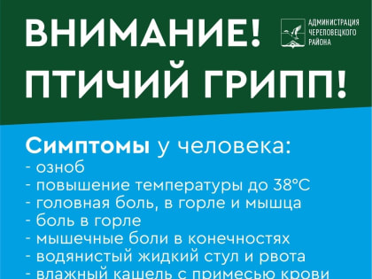 Опубликован список деревень вокруг Череповца, где осмотрят птицу на предмет заражения