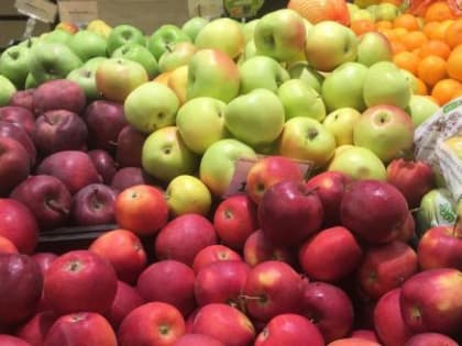 Дефицита яблок и роста цен на них в России не будет – привезут из других стран