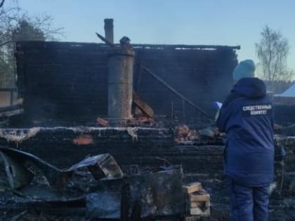 Во время пожара в Бабаевском районе сгорела семья
