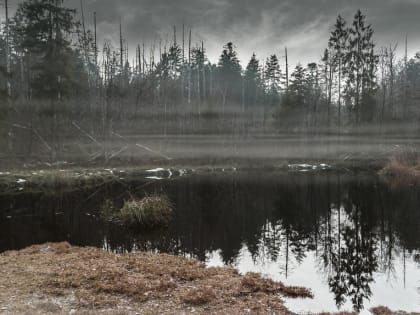 «Будьте внимательнее, проклятый день!» - что категорически нельзя делать 4 мая