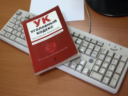 Череповчанин получил условный срок за убийство двух собак