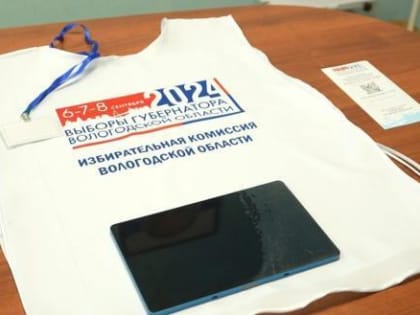 Выборы в Вологде: информирование жителей