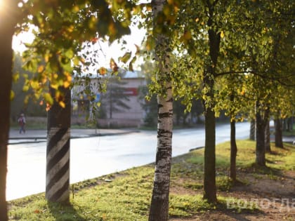 Синоптики обещают, что выходные в Вологде будут теплыми