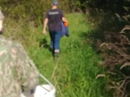 В Вологодской области 50-летний горе-грибник мог пополнить статистику без вести пропавших…