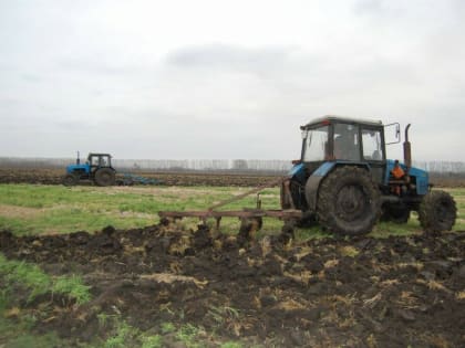 Сельское хозяйство