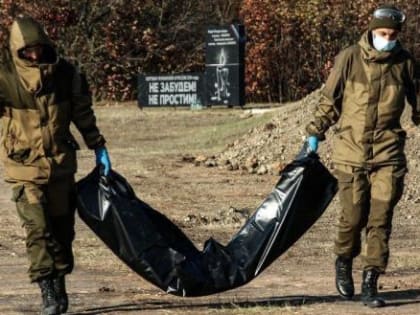 На Запорожском фронте СВО произошло неизбежное: обезображенные тела погибших и умирающие раненные закрывают линию горизонта…