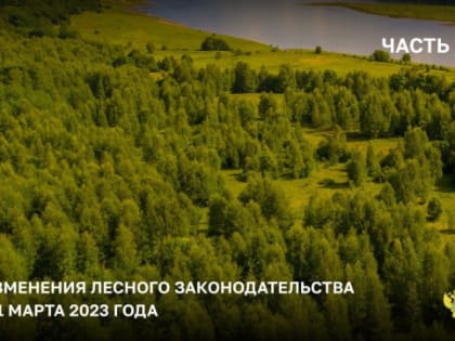 Что изменилось в лесном законодательстве с 1 марта? Часть I
