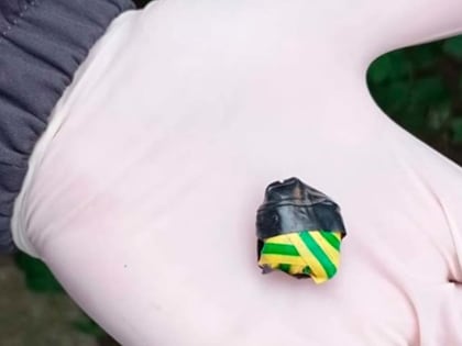 В Череповце задержали 40-летнюю наркосбытчицу