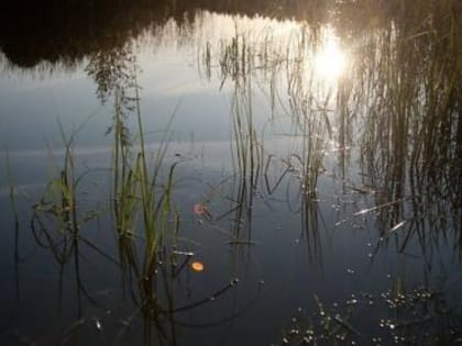 Несчастный случай на воде унёс жизнь 53-летнего жителя Белозерска