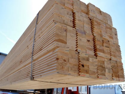 Почти 700 тыс. куб. метров лесоматериалов экспортировала Вологодская область за полгода