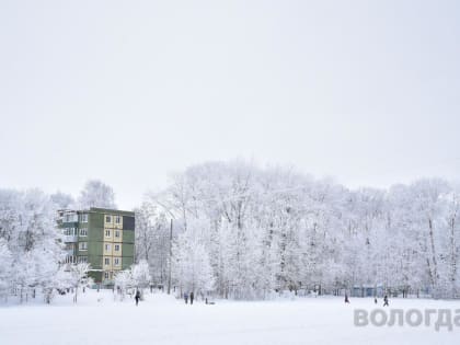 Родители могут оставить дошколят дома при аномально низких температурах в Вологде