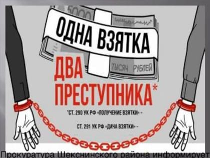 Прокуратурой Шекснинского района выявлены нарушения в сфере противодействия коррупции