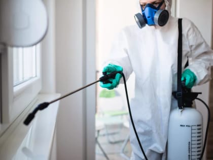 В череповецких школах возобновили обработку от коронавируса