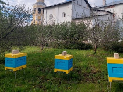 В Вологде в Спасо-Прилуцком Димитриевом мужском монастыре открыли собственную пасеку