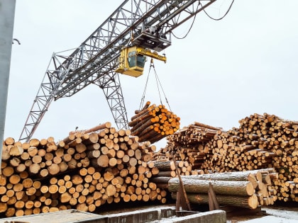 Вологодская область вошла в список лидеров по объемам инвестиций в лесопромышленный комплекс среди регионов