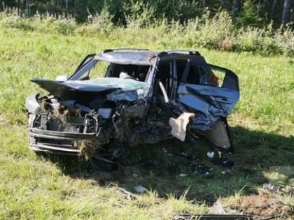 Водитель-убийца из Ленобласти заплатит длинным рублем за смерть 63-летнего вологжанина