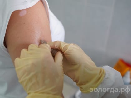 Почти 70 тысяч вологжан прошли вакцинацию от гриппа