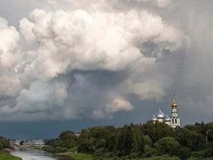Тепло, пасмурно и дождливо: последняя неделя мая не порадует вологжан летней погодой