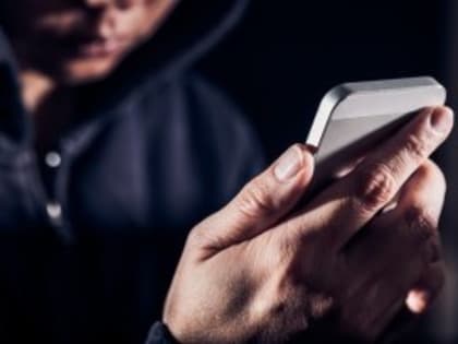 Стало известно, сколько череповчан пострадало от действий мошенников в 2022 году