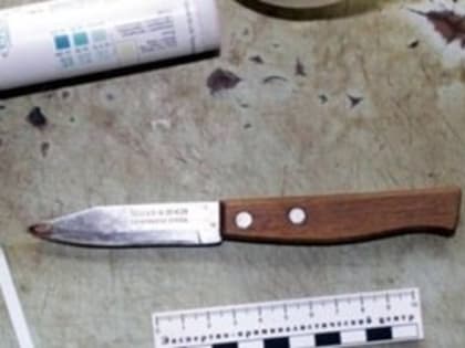 Пенсионерку из Сямженского района будут судить за убийство сына