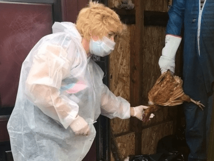 Запрещена продажа продукции Малечкинской птицефабрики