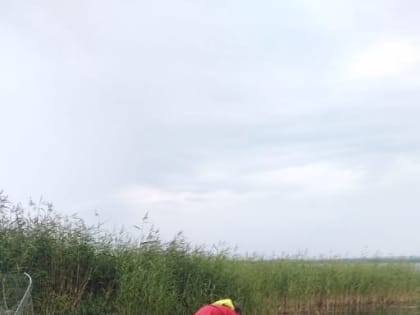 В Вытегорском районе найдено тело мужчины, пропавшего 10 дней назад