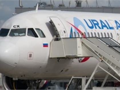 Самолет «Уральских авиалиний» экстренно сел из-за столкновения с птицами