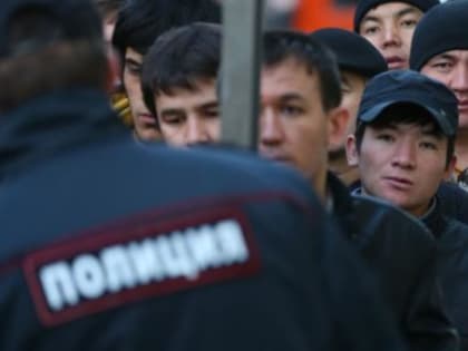 В Госдуме плюнули на слова таджикского дипломата о мигрантах