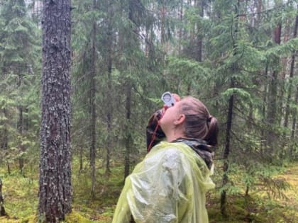 Практика на отлично