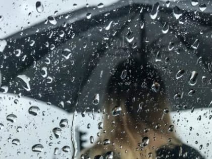Мокреньким вологжанам не дадут времени просохнуть: впереди дождливые выходные