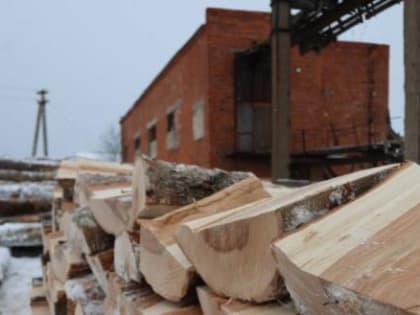 Вместо котельной на дровах – газовую построят в Междуреченском округе