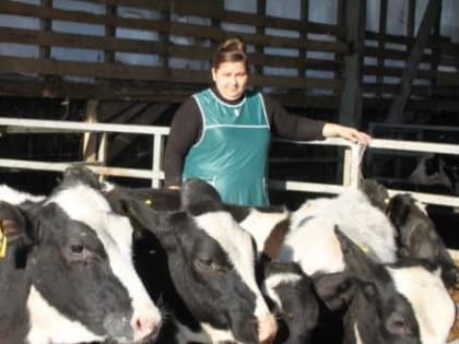 Племзавод "Заря" Грязовецкого района стал одним из лучших колхозов региона по производству молока