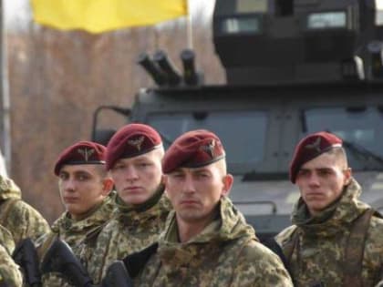 Украинские националисты готовились к геноциду населения ЛДНР под чутким присмотром западных инструкторов