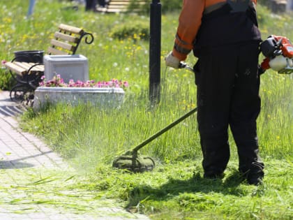В&nbsp;Череповце начали косить траву