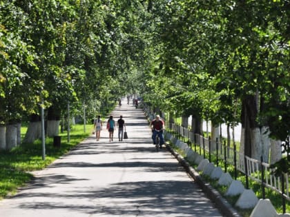 До 3,6 % повысилась годовая инфляция на территории Вологодской области