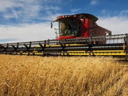 С сегодняшнего дня утвержден порядок ведения реестра сельскохозяйственных земель